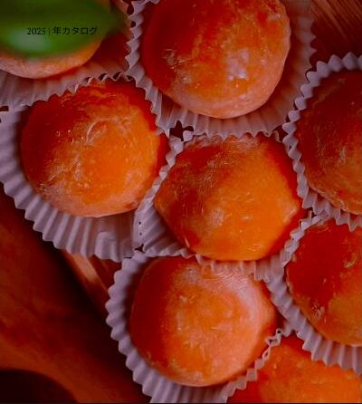 katalog-bal-kabagi