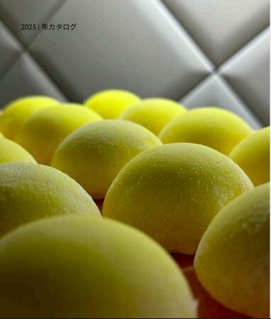 katalog-limon